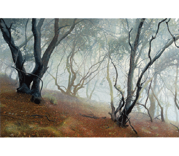 Stephen McMillan "Misty Morning"